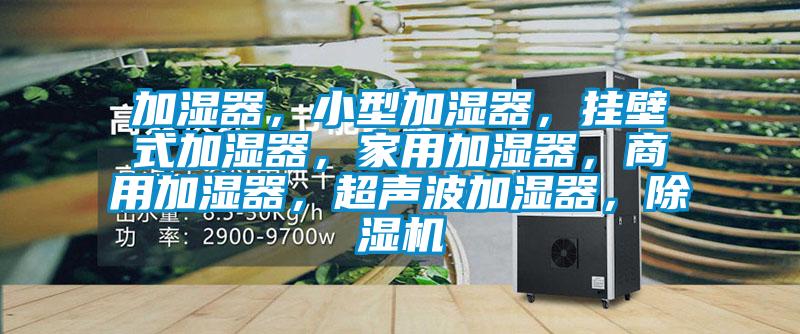 加濕器,小型加濕器,掛壁式加濕器,家用加濕器,商用加濕器,超聲波加濕器,除濕機(jī)
