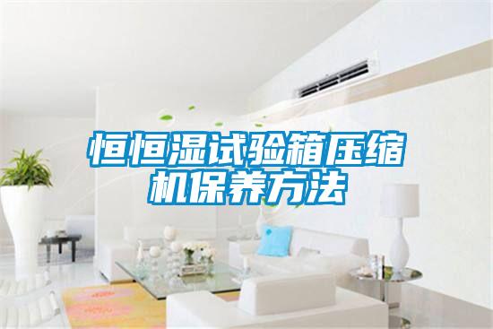 恒恒濕試驗箱壓縮機保養(yǎng)方法