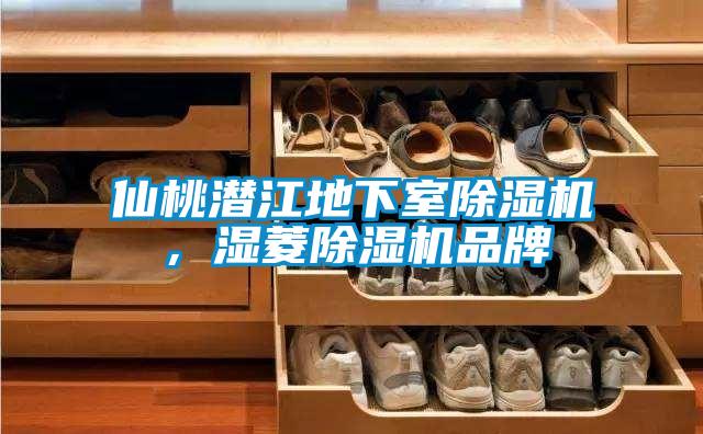 仙桃潛江地下室除濕機，濕菱除濕機品牌