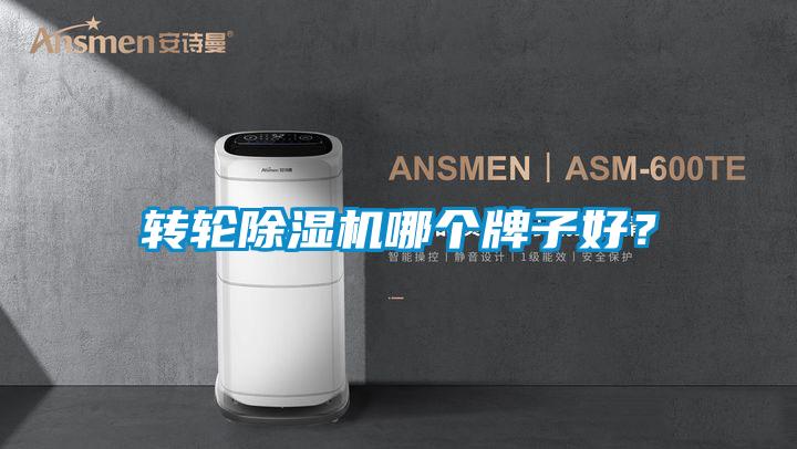 轉輪除濕機哪個牌子好?