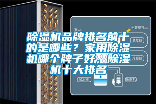 除濕機品牌排名前十的是哪些？家用除濕機哪個牌子好，除濕機十大排名