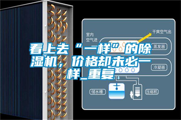 看上去“一樣”的除濕機(jī)，價(jià)格卻未必一樣_重復(fù)