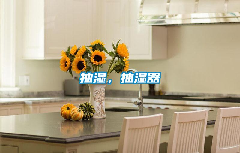 抽濕,抽濕器