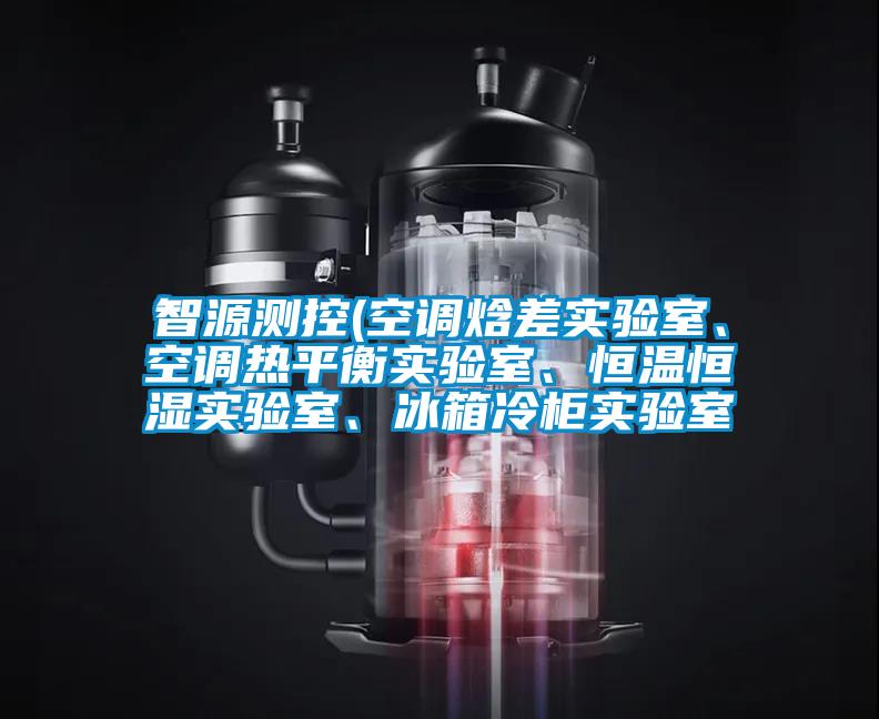 智源測控(空調(diào)焓差實驗室、空調(diào)熱平衡實驗室、恒溫恒濕實驗室、冰箱冷柜實驗室