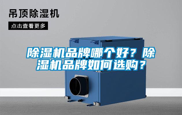 除濕機(jī)品牌哪個(gè)好?除濕機(jī)品牌如何選購?