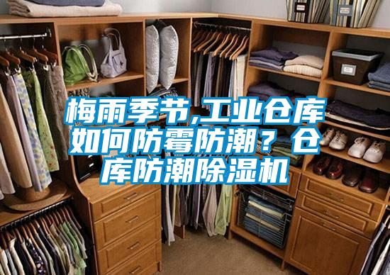梅雨季節(jié),工業(yè)倉(cāng)庫(kù)如何防霉防潮？倉(cāng)庫(kù)防潮除濕機(jī)