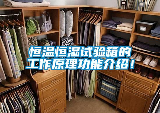 恒溫恒濕試驗箱的工作原理功能介紹！