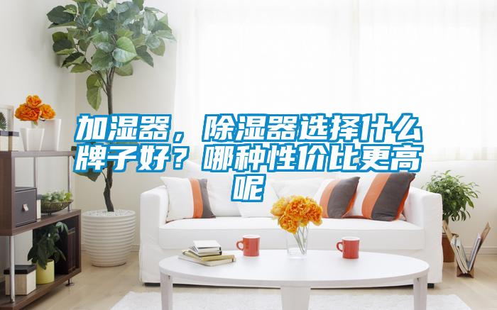 加濕器，除濕器選擇什么牌子好？哪種性價(jià)比更高呢