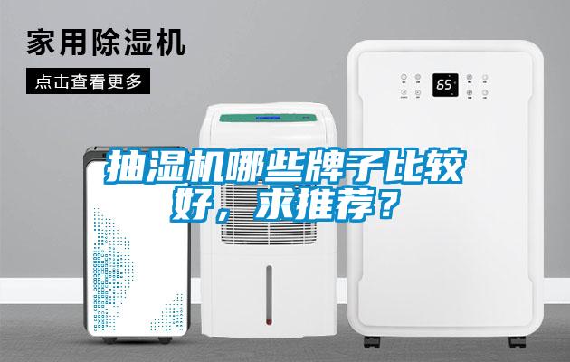 抽濕機哪些牌子比較好，求推薦？