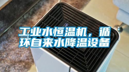 工業(yè)水恒溫機(jī)，循環(huán)自來水降溫設(shè)備