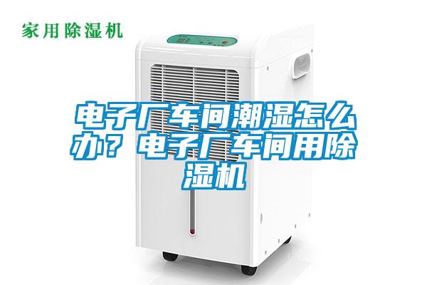 電子廠車間潮濕怎么辦?電子廠車間用除濕機