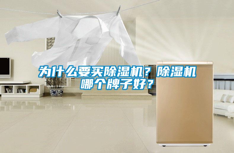 為什么要買除濕機？除濕機哪個牌子好？