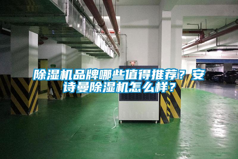 除濕機品牌哪些值得推薦？安詩曼除濕機怎么樣？