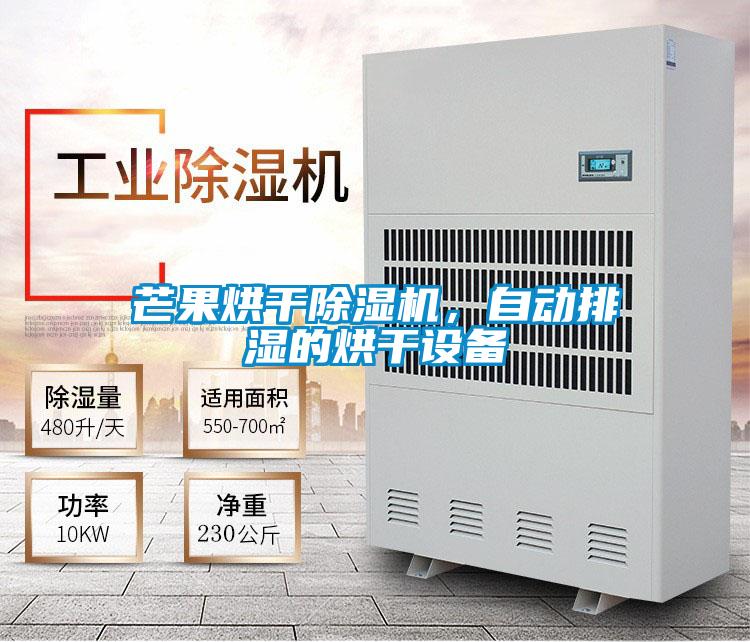 芒果烘干除濕機(jī)，自動(dòng)排濕的烘干設(shè)備