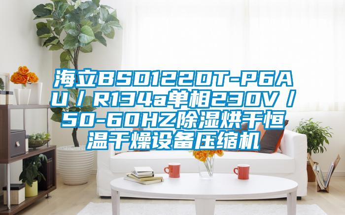 海立BSD122DT-P6AU/R134a單相230V/50-60HZ除濕烘干恒溫干燥設備壓縮機