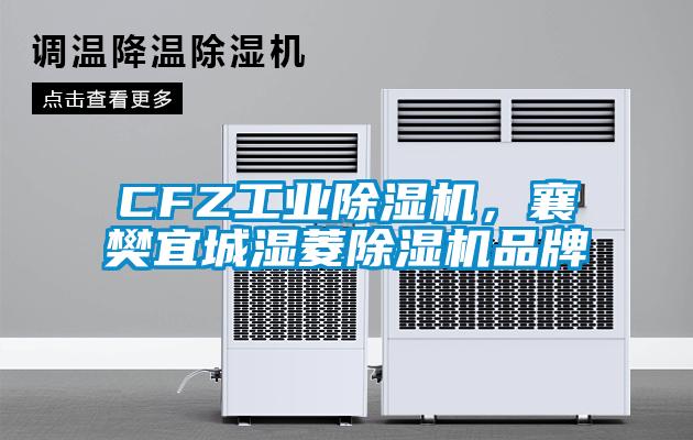 CFZ工業(yè)除濕機，襄樊宜城濕菱除濕機品牌