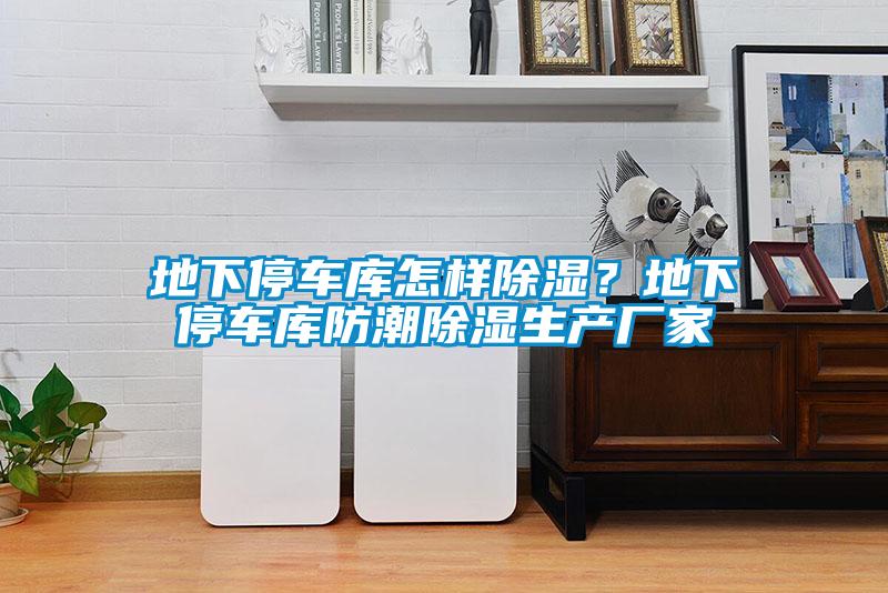 地下停車庫怎樣除濕？地下停車庫防潮除濕生產(chǎn)廠家