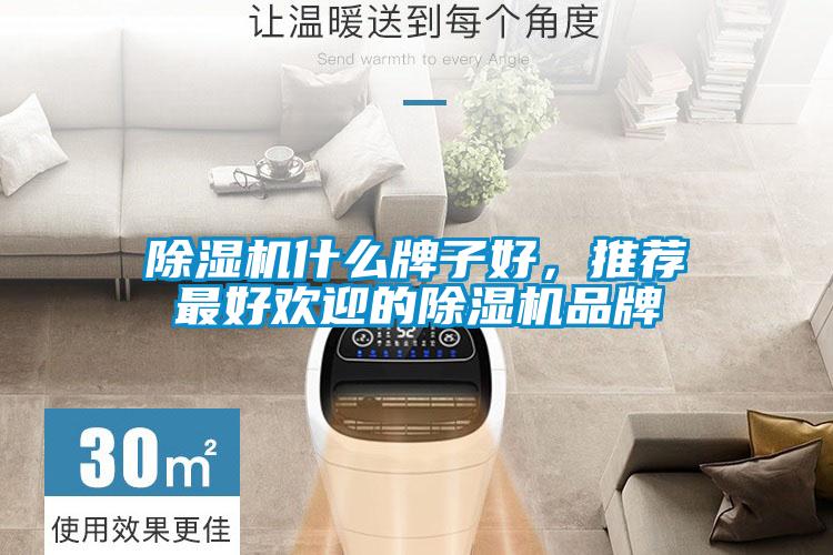 除濕機什么牌子好,推薦最好歡迎的除濕機品牌