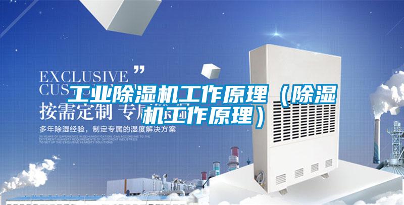 工業除濕機工作原理(除濕機工作原理)
