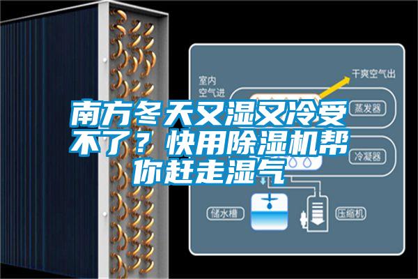 南方冬天又濕又冷受不了?快用除濕機幫你趕走濕氣