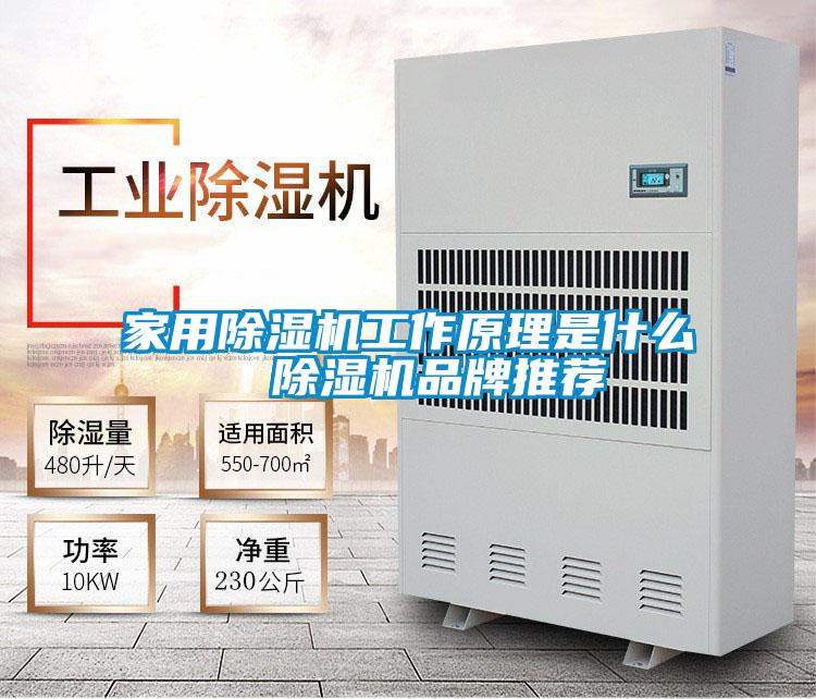 家用除濕機工作原理是什么 除濕機品牌推薦
