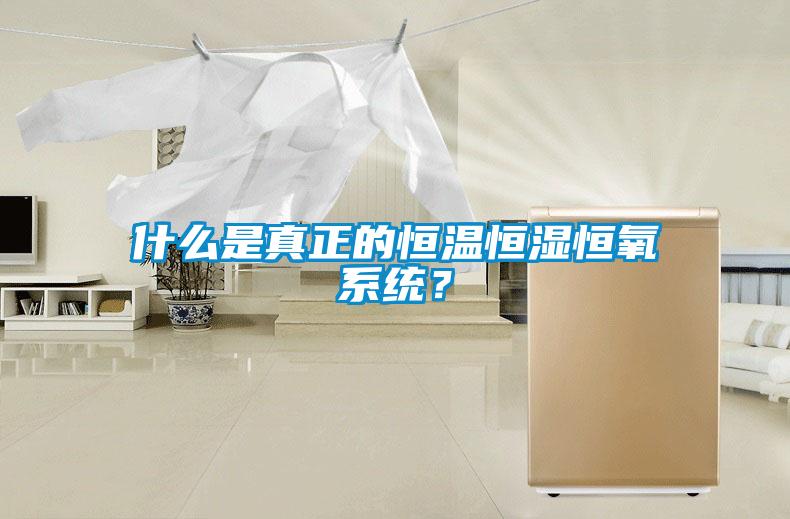 什么是真正的恒溫恒濕恒氧系統?