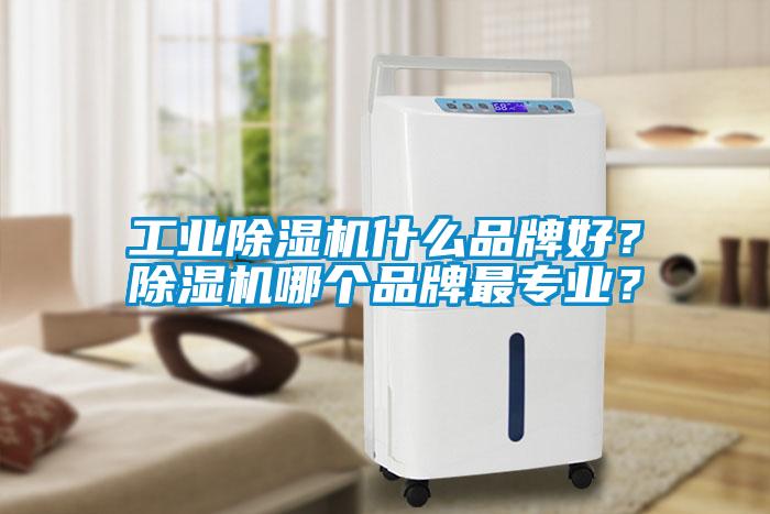 工業(yè)除濕機什么品牌好？除濕機哪個品牌最專業(yè)？