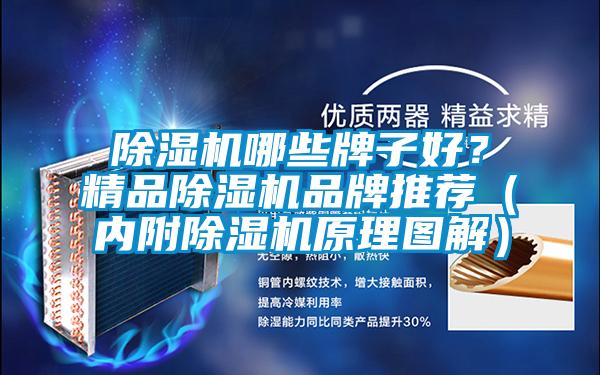 除濕機哪些牌子好？精品除濕機品牌推薦（內附除濕機原理圖解）