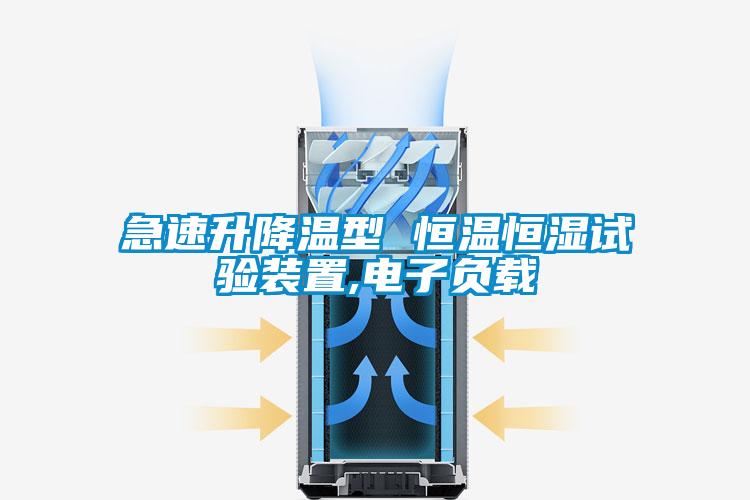 急速升降溫型 恒溫恒濕試驗(yàn)裝置,電子負(fù)載