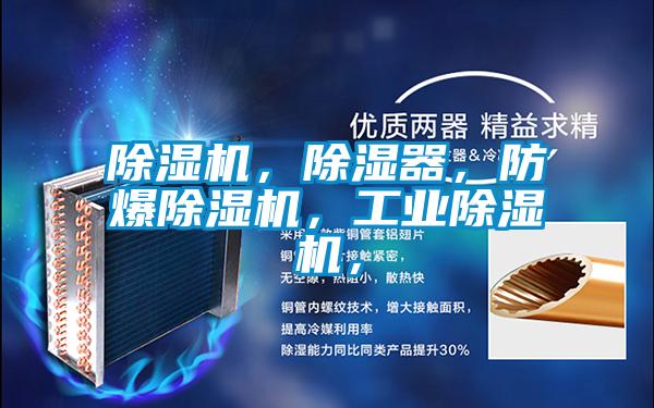 除濕機,除濕器,防爆除濕機,工業(yè)除濕機,