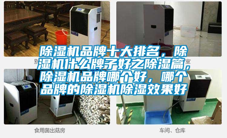除濕機品牌十大排名，除濕機什么牌子好之除濕篇，除濕機品牌哪個好，哪個品牌的除濕機除濕效果好