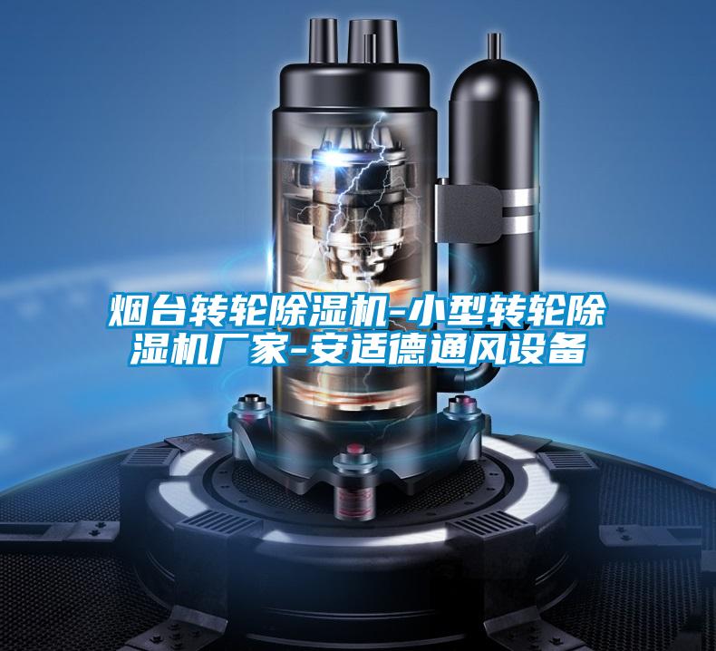 煙臺轉(zhuǎn)輪除濕機(jī)-小型轉(zhuǎn)輪除濕機(jī)廠家-安適德通風(fēng)設(shè)備