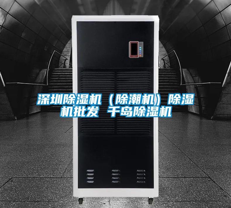 深圳除濕機（除潮機）除濕機批發 千島除濕機