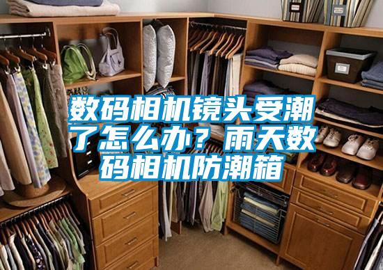 數碼相機鏡頭受潮了怎么辦？雨天數碼相機防潮箱