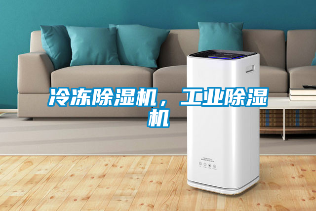 冷凍除濕機(jī),工業(yè)除濕機(jī)
