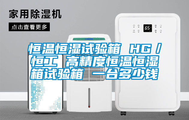 恒溫恒濕試驗(yàn)箱 HG/恒工 高精度恒溫恒濕箱試驗(yàn)箱 一臺多少錢