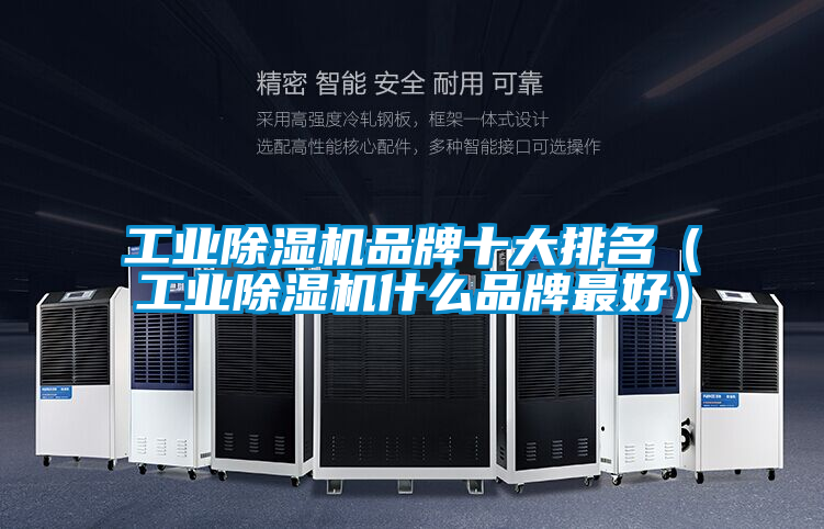 工業(yè)除濕機品牌十大排名(工業(yè)除濕機什么品牌最好)