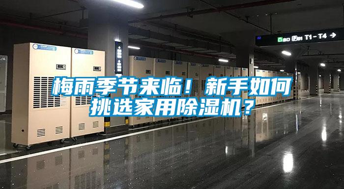 梅雨季節(jié)來臨!新手如何挑選家用除濕機?