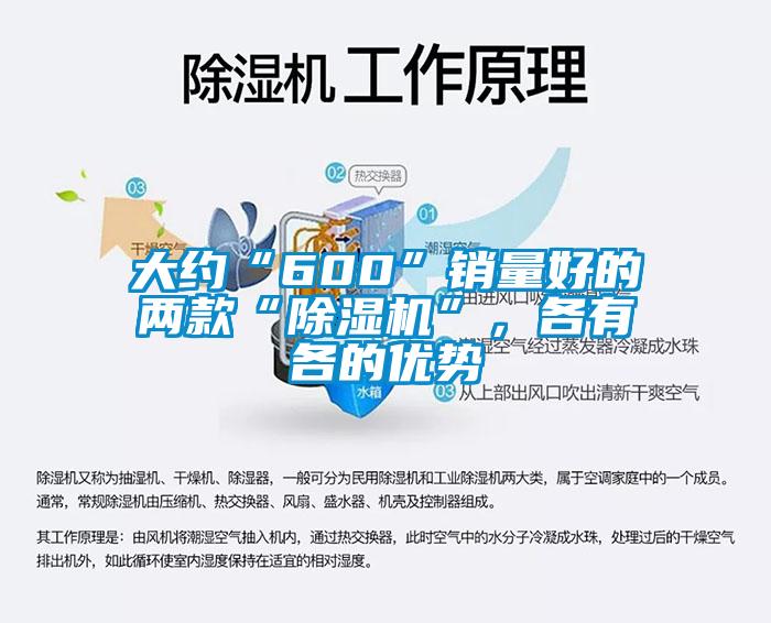 大約“600”銷量好的兩款“除濕機”，各有各的優勢