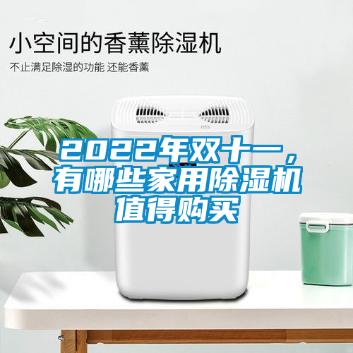2022年雙十一,有哪些家用除濕機(jī)值得購買