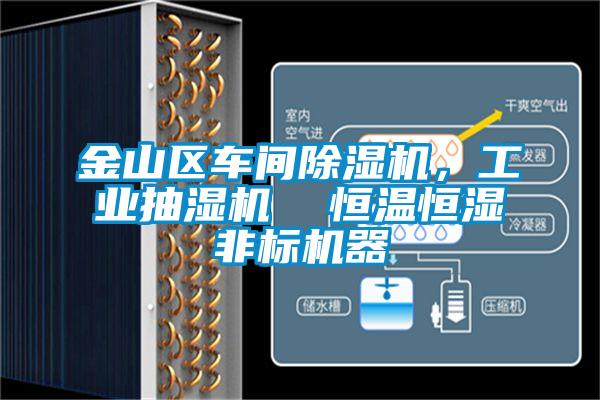 金山區(qū)車間除濕機,工業(yè)抽濕機 恒溫恒濕非標(biāo)機器