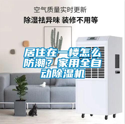 居住在一樓怎么防潮?家用全自動除濕機