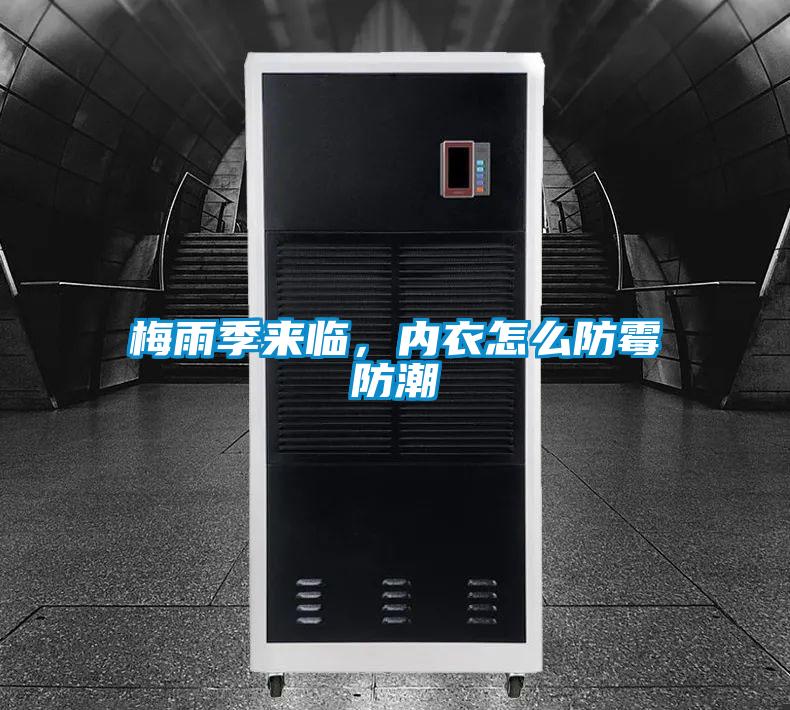 梅雨季來臨，內衣怎么防霉防潮