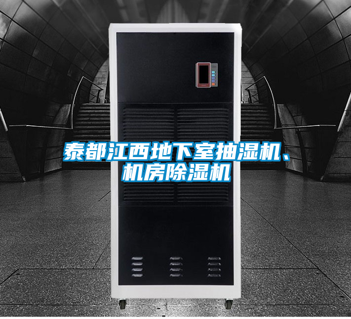 泰都江西地下室抽濕機、機房除濕機