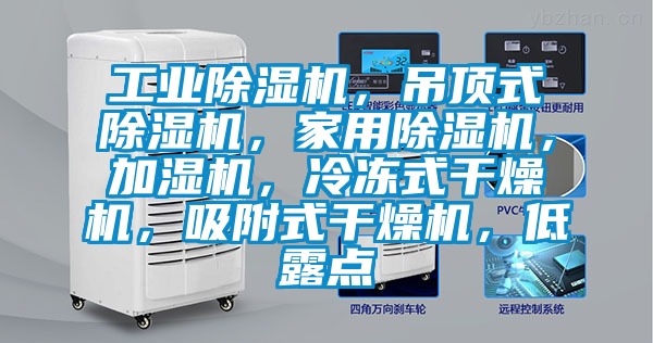 工業(yè)除濕機(jī),吊頂式除濕機(jī),家用除濕機(jī),加濕機(jī),冷凍式干燥機(jī),吸附式干燥機(jī),低露點(diǎn)