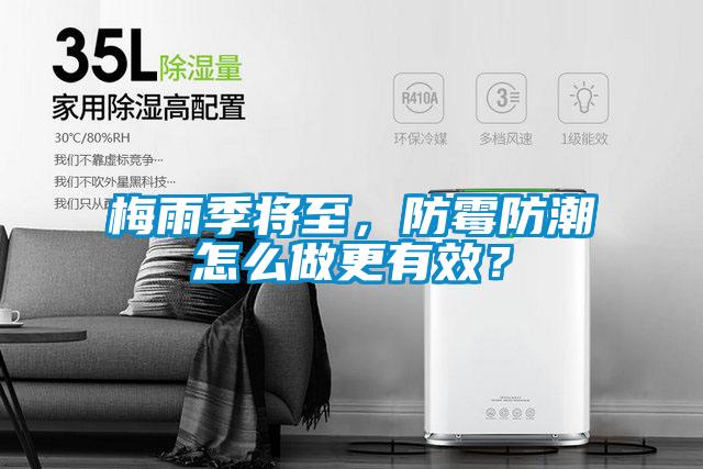 梅雨季將至，防霉防潮怎么做更有效？