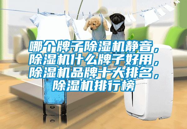 哪個牌子除濕機靜音，除濕機什么牌子好用，除濕機品牌十大排名，除濕機排行榜