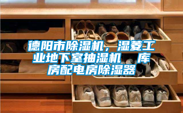 德陽市除濕機，濕菱工業地下室抽濕機  庫房配電房除濕器