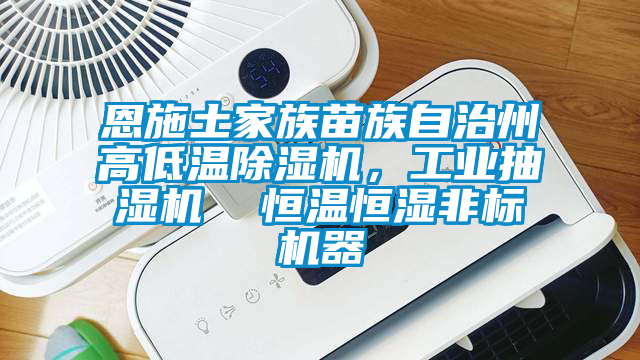 恩施土家族苗族自治州高低溫除濕機,工業抽濕機 恒溫恒濕非標機器