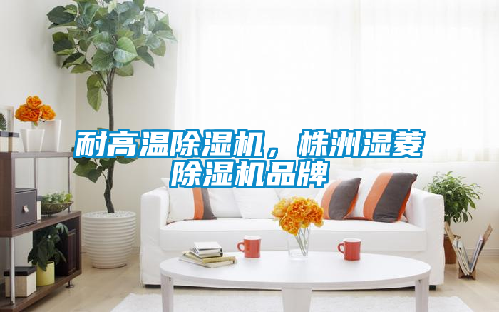 耐高溫除濕機，株洲濕菱除濕機品牌